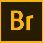 Adobe Bridge 2020 İndir – Full Türkçe v10.1.1.166 Katılımsız