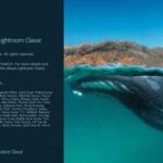 Adobe Lightroom Classic 2020 İndir – Full v9.2.1 + Katılımsız