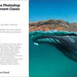 Adobe Photoshop Lightroom Classic CC 2021 İndir – Full 10.2