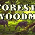 Forest Woodman İndir – Full PC