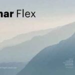 Luminar Flex İndir – Full v1.1.0.3435