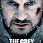 Gri Kurt İndir (The Grey) Dual 1080p Türkçe Dublaj