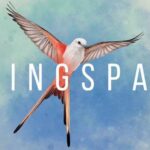 Wingspan İndir – Full PC