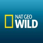Nat Geo Wild – En Vahşiler Belgeseli Boxset İndir – 1080p HD