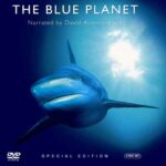The Blue Planet 1 Belgesel İndir Türkçe Dublaj 720p