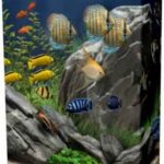 Dream Aquarium 1.29 + 22 Tank İndir – Full Türkçe