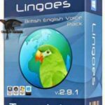 English Voice Packages for Lingoes Eğitim Seti İndir